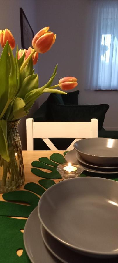 Siedlisko Czapla Kolo Suntago Apartamento Grabce-Towarzystwo Exterior foto