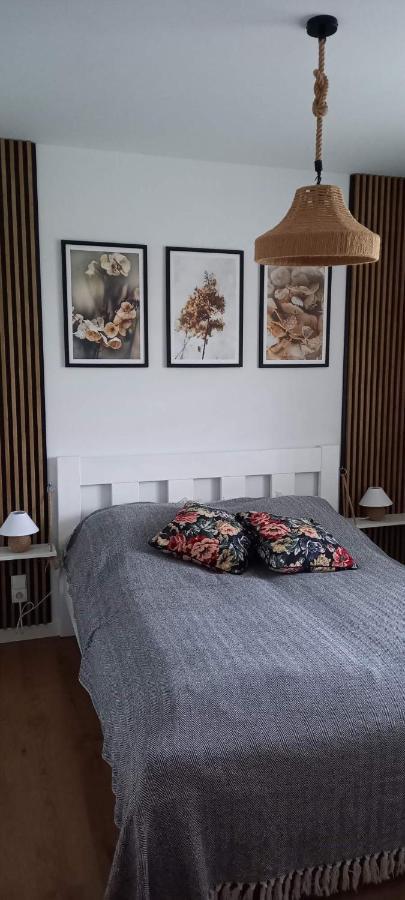 Siedlisko Czapla Kolo Suntago Apartamento Grabce-Towarzystwo Exterior foto